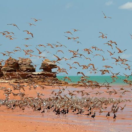 Broome Bird Observatory 외부 사진