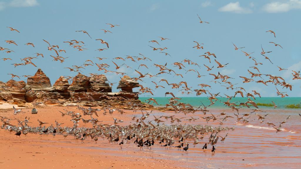 Broome Bird Observatory 외부 사진