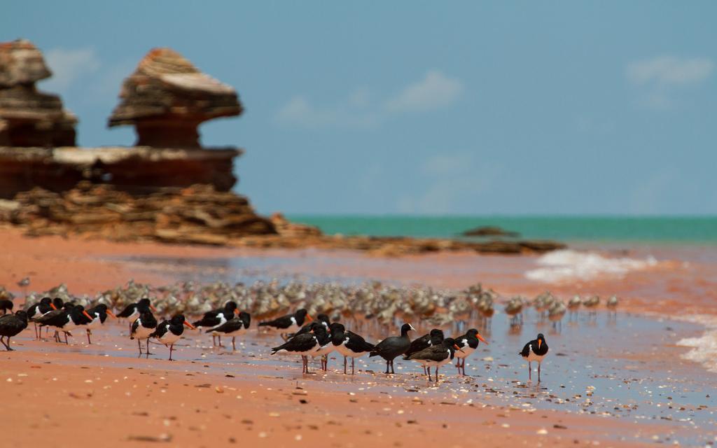 Broome Bird Observatory 외부 사진